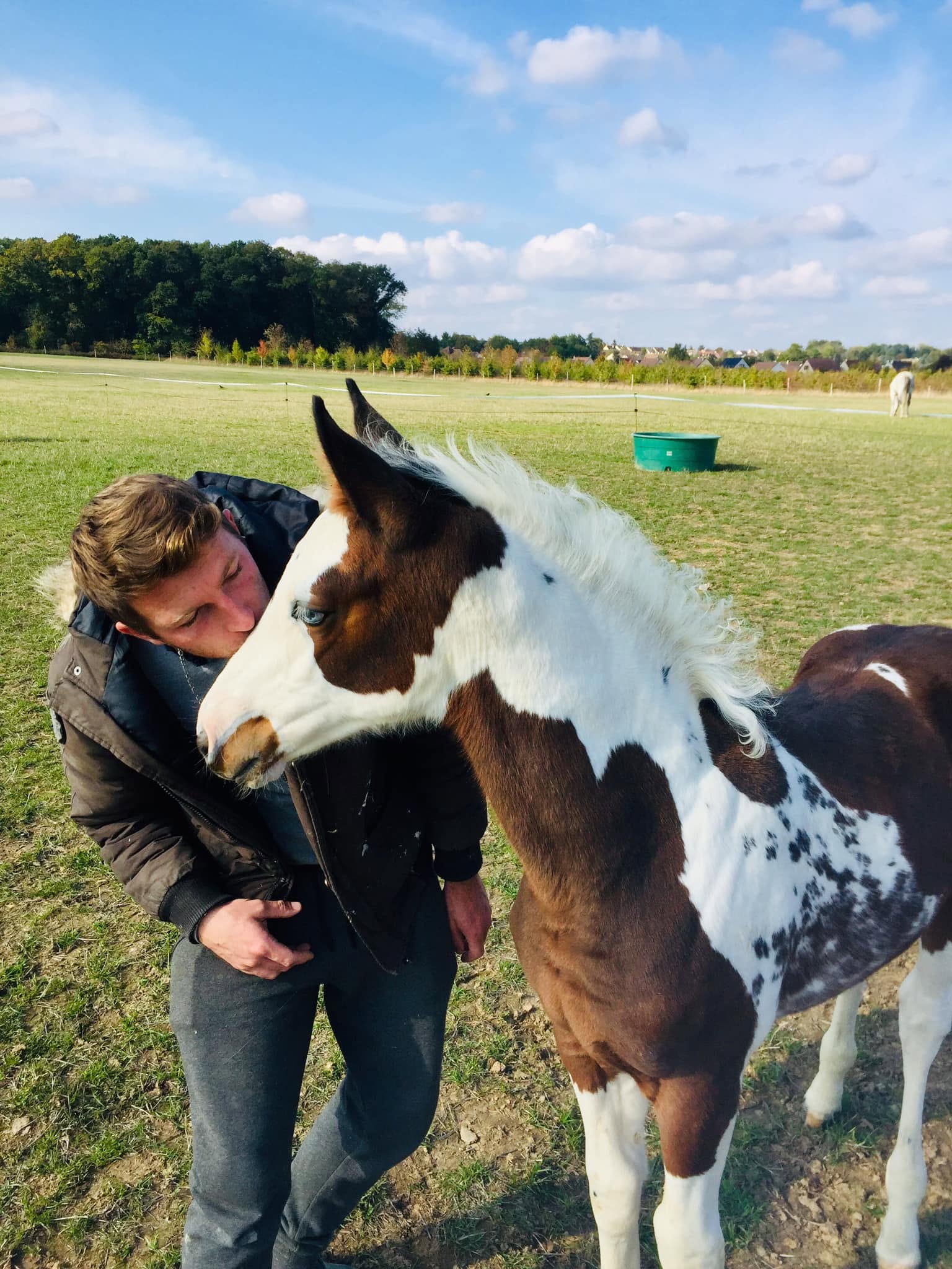 Cheval de l'Élevage du Figaret