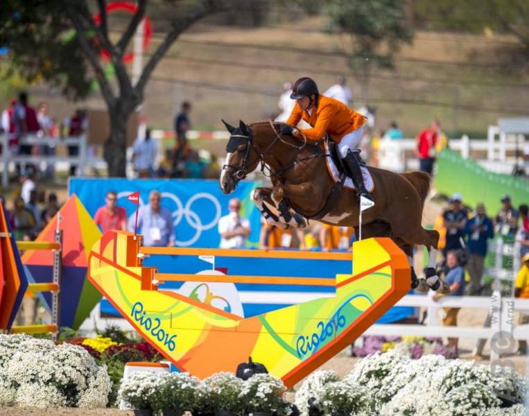 Croisement Emerald van’t Ruytershof et Lageena Hero
